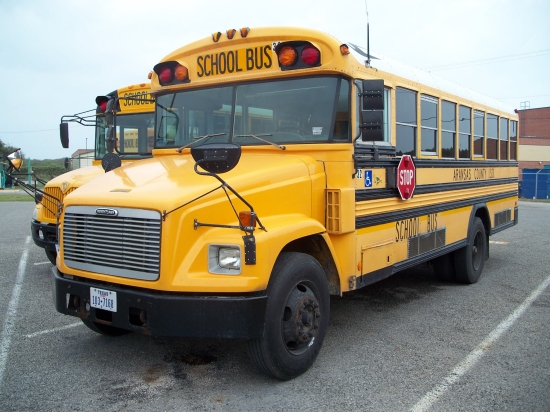 freightliner bluebird school bus
